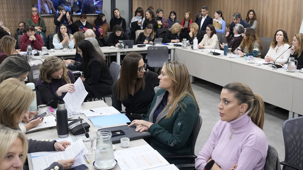 la oposición consiguió respaldo para una ley de emergencia por violencia de género