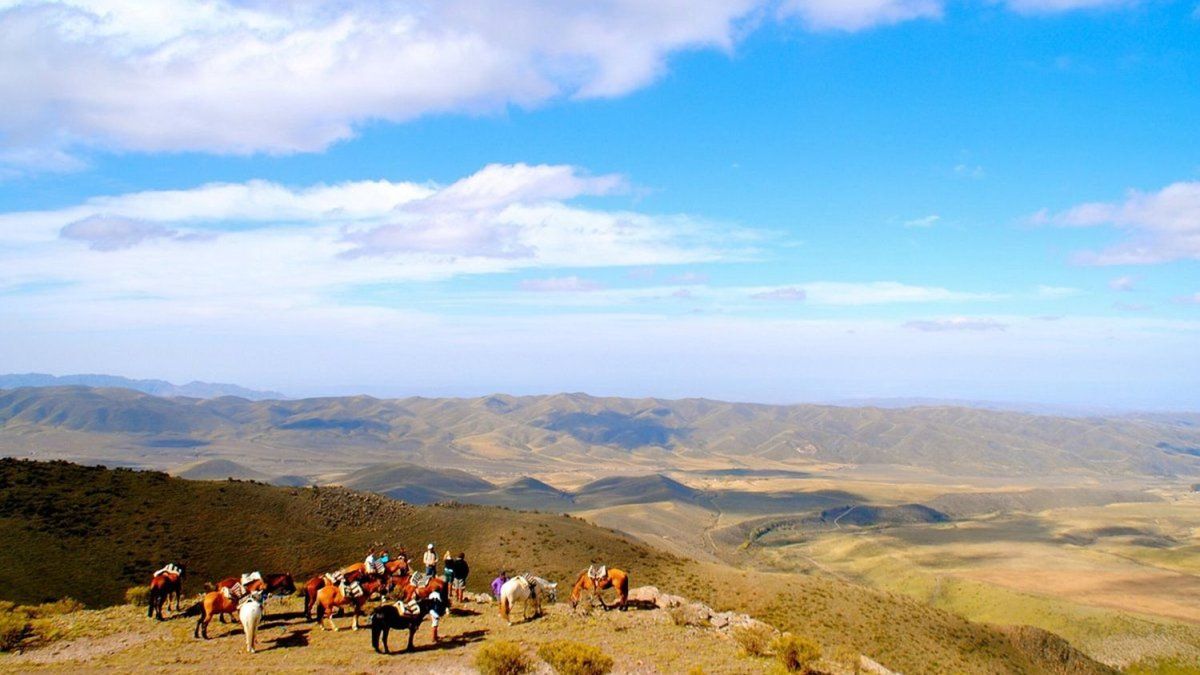 El rincón poco conocido de Argentina que es el paraíso de los amantes de la fotografía y los animales