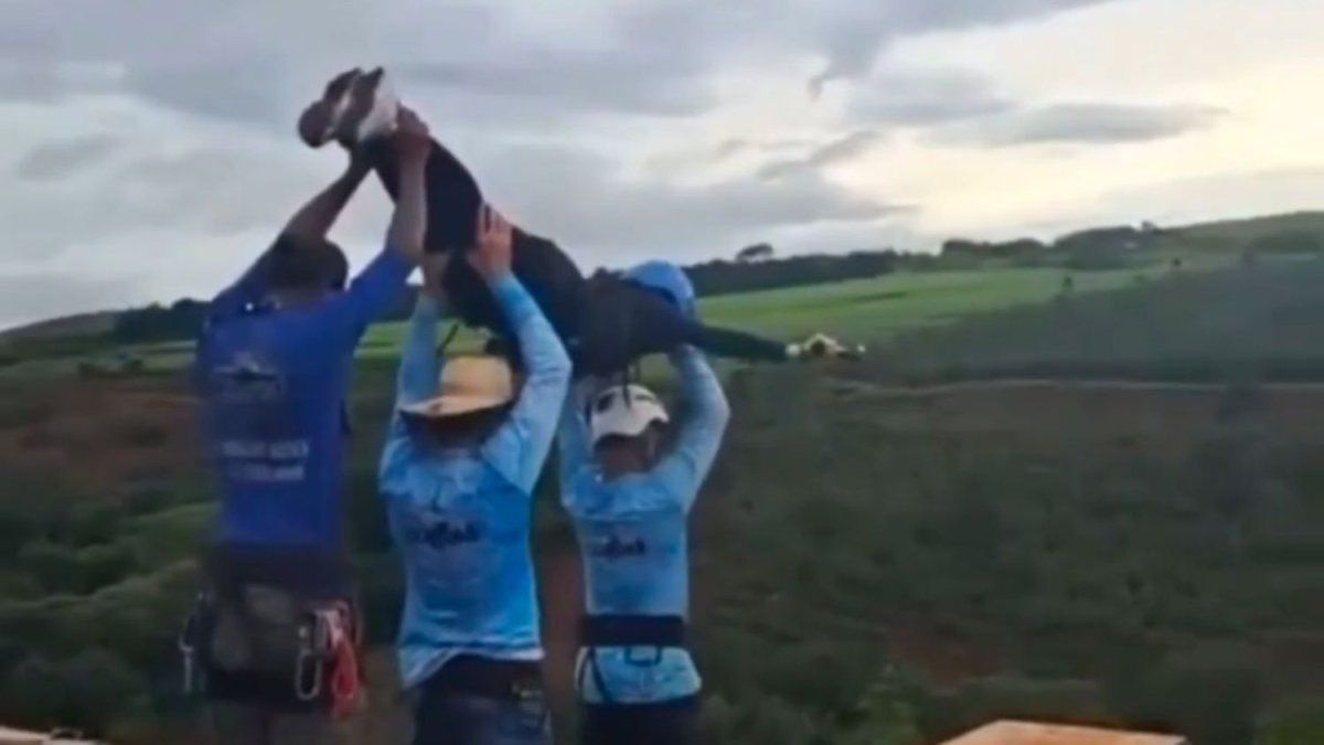 aseguran que la joven que saltó de un puente para hacer bungee jumping estaba viva tras la caída