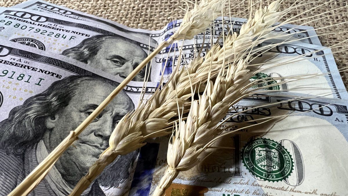 ¿Quedan dólares del agro? Los cálculos que hace el mercado sobre las divisas que todavía podrían ingresar