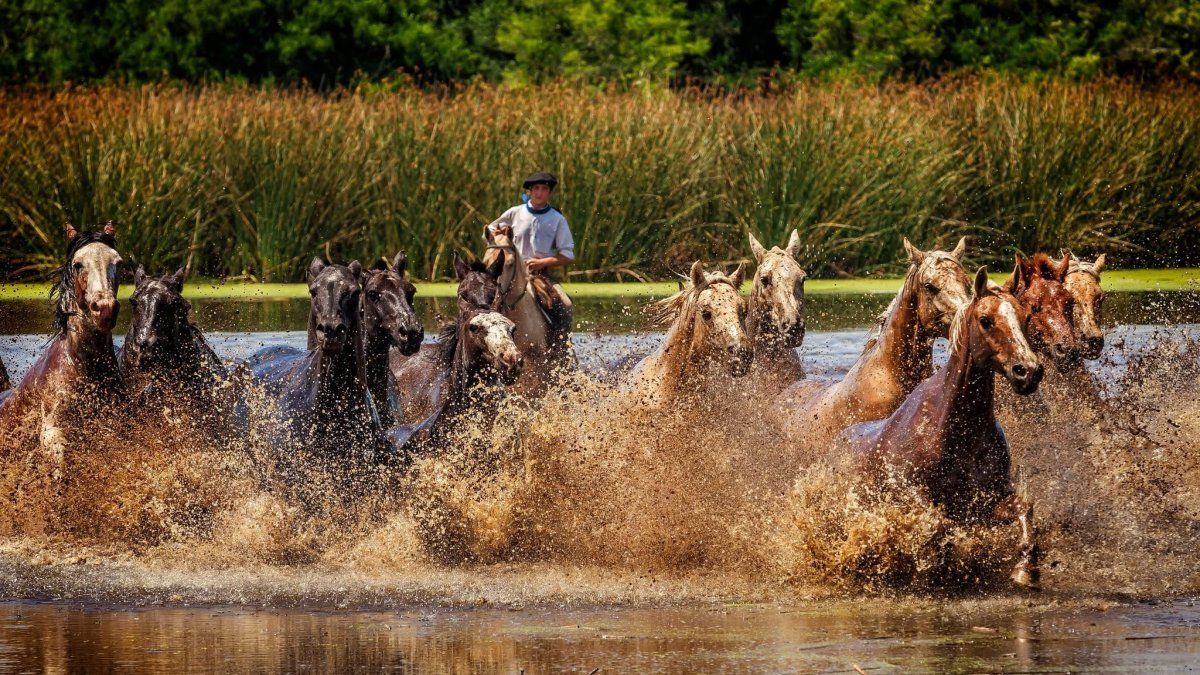 El histórico refugio de Buenos Aires rodeado de lagunas que es ideal para desconectar el fin de semana