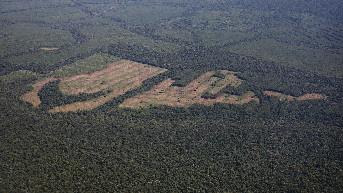 Brasil se expone a un mayor impacto de El Niño tras perder áreas de vegetación nativa en cuarenta años