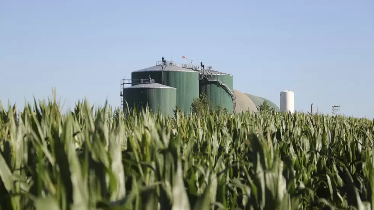 Las cámaras aceiteras y del biodiésel ratificaron su apoyo al proyecto de Ley de Biocombustibles del Gobierno