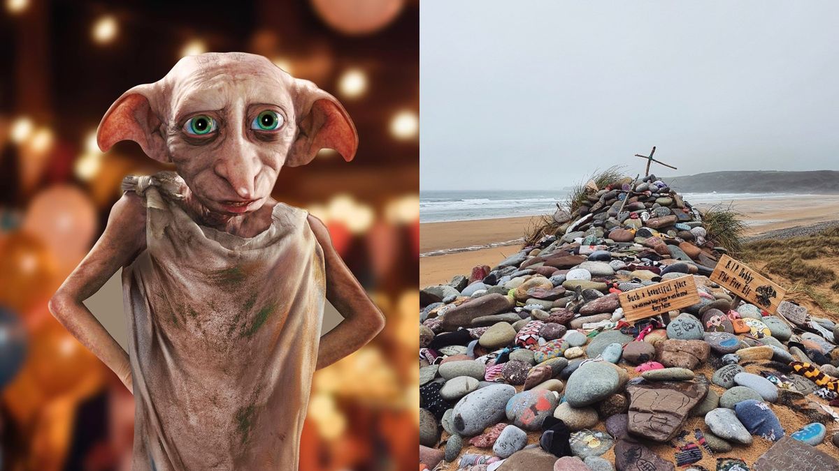 Los fans de Harry Potter lograron desviar un cable de u$s580 millones para proteger la tumba del elfo