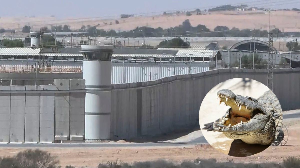 frenan en Israel un proyecto para rodear con cocodrilos una cárcel de presos palestinos
