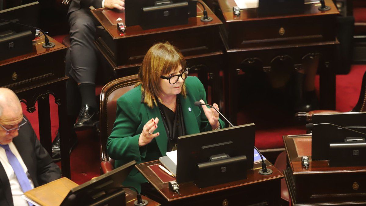 Patricia Bullrich adelantó que el Senado reactivará el debate por la reforma política