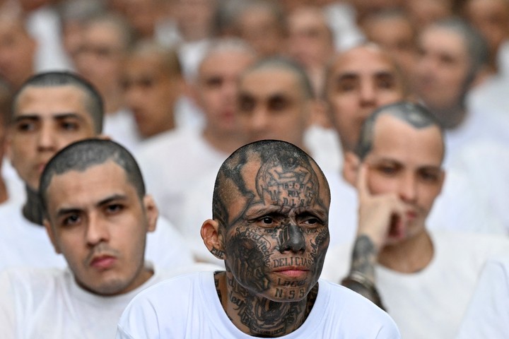 Pandilleros detenidos en El Salvador.
Foto: Marvin Recinos / AFP