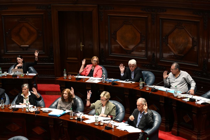 El Senado de Uruguay aprobó por unanimidad el proyecto de ley para declarar el 11 de diciembre como el Día de Gardel. Foto EFE/Federico Gutiérrez, archivo.